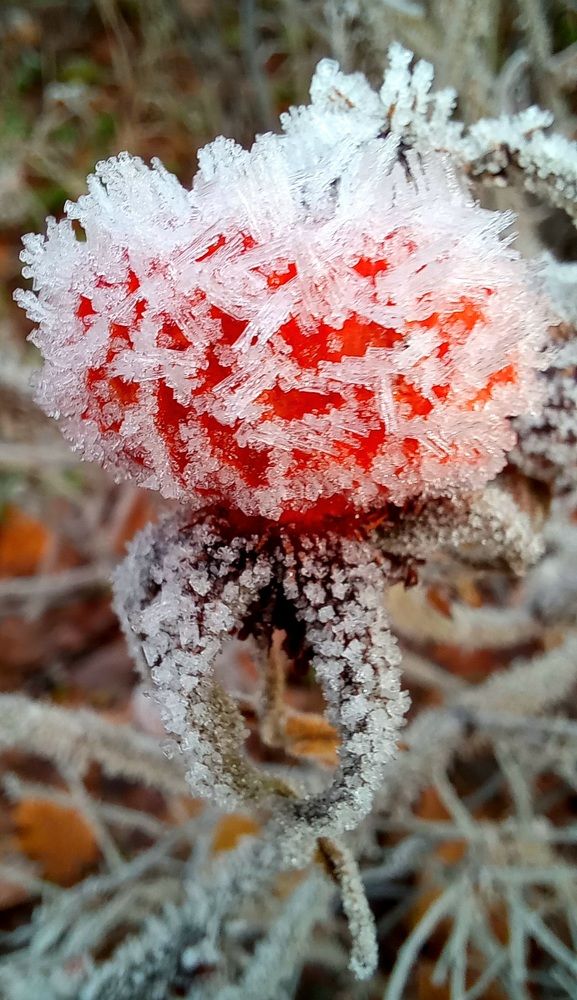 Photograph by Евгений Савулькин