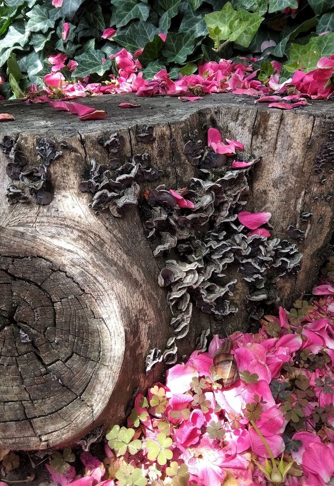 Photograph by Светлана Безъязычная