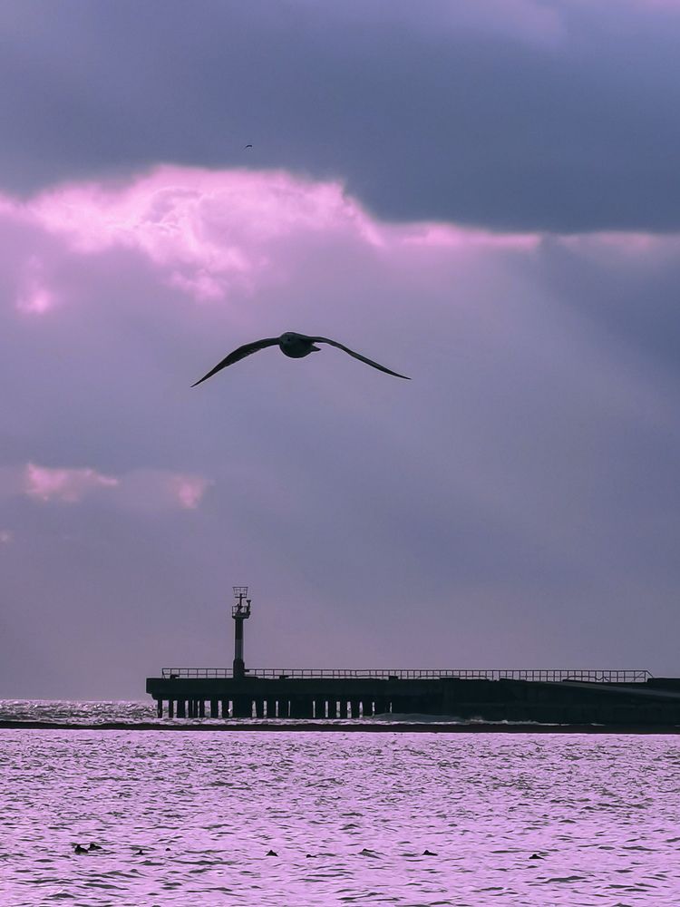 Photograph by Мария Цепилова