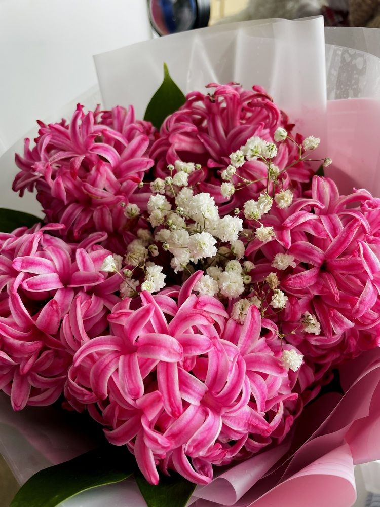 Photograph by Полина Рыжакова