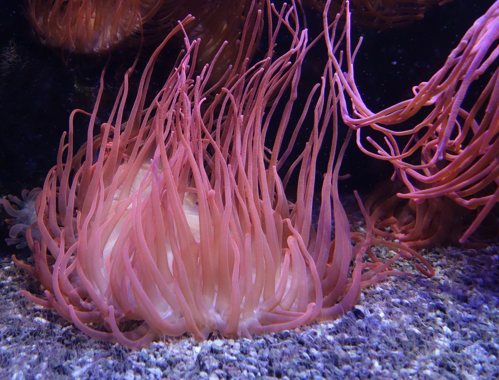 Photograph by Ионова Татьяна