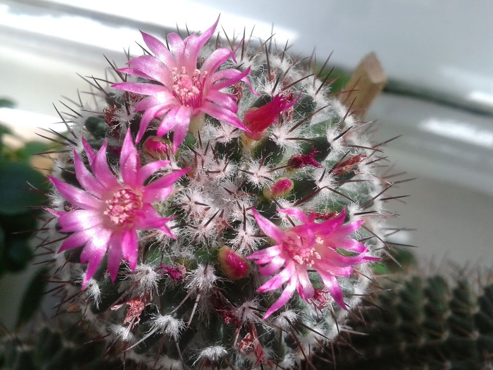 Photograph by Елена Смирнова