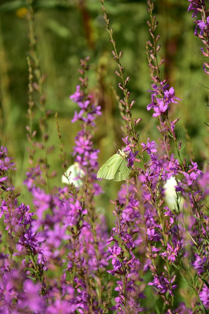 Photograph by Валерий Гудков