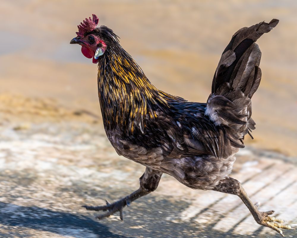 Photograph by Калинин Игорь