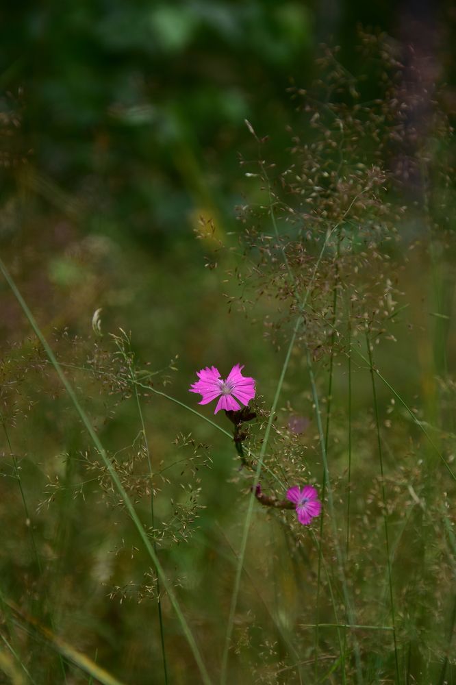 Photograph by Валерий Гудков