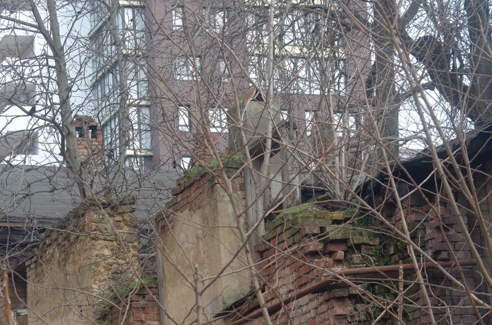 Photograph by Башлаев Константин