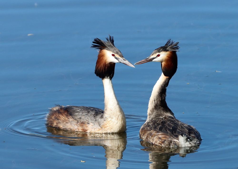 Photograph by Сергей Маслов