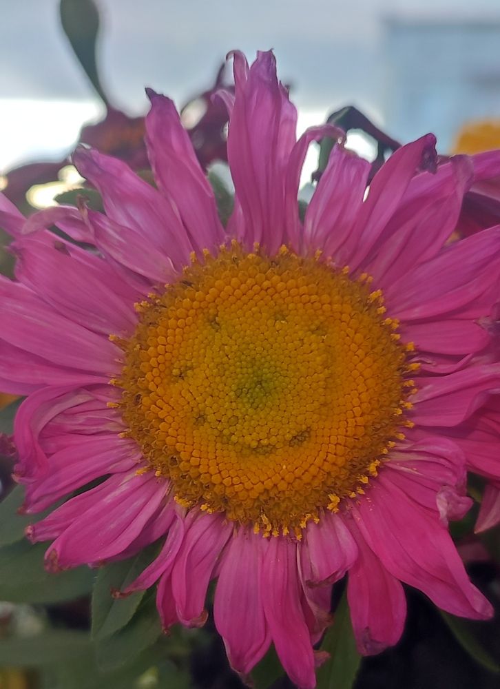 Photograph by Людмила Воропаева