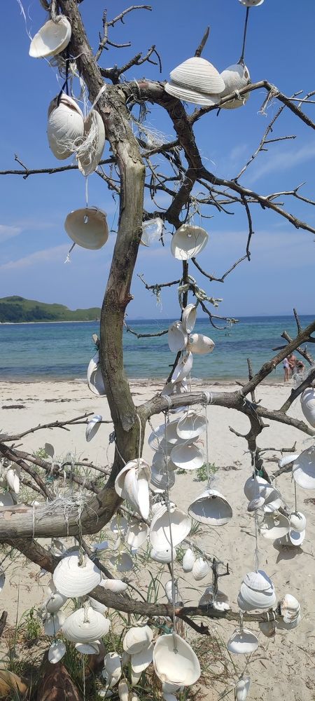 Photograph by Людмила Воропаева