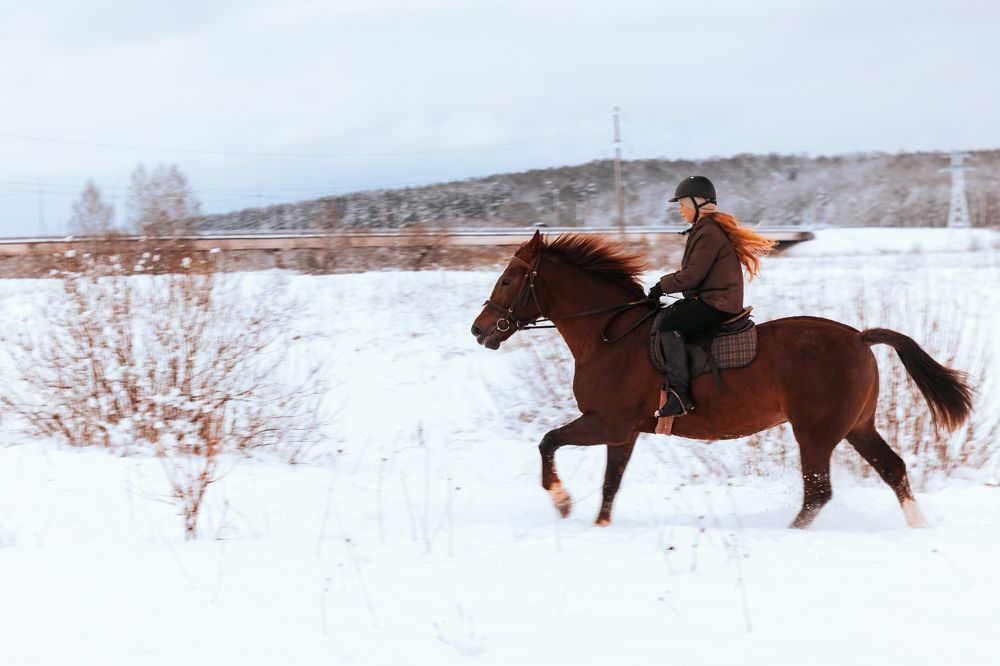 Фотография автора Aamoda Kitchen