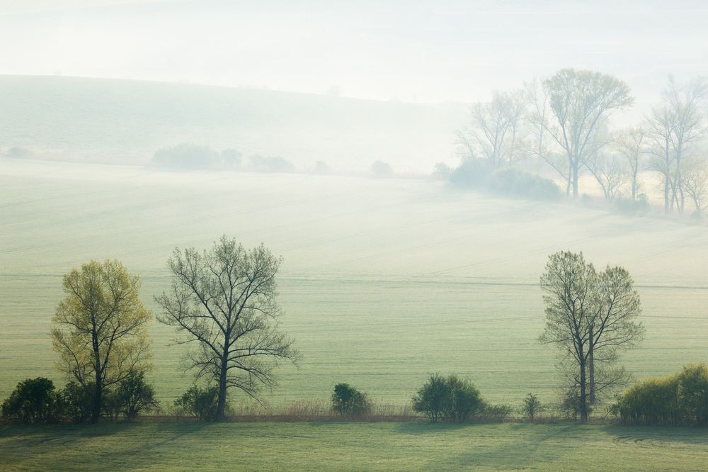 Мягкое утро
