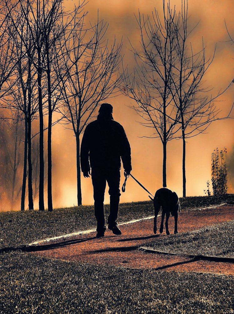 Человек и пёс.