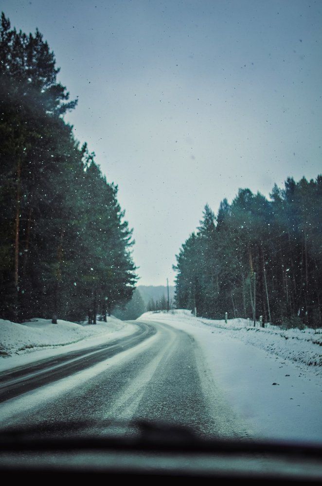 Дорога домой