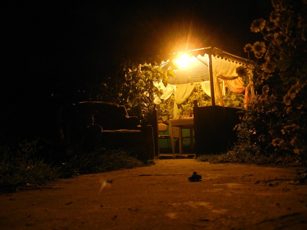 Photograph by Настя Трубкина