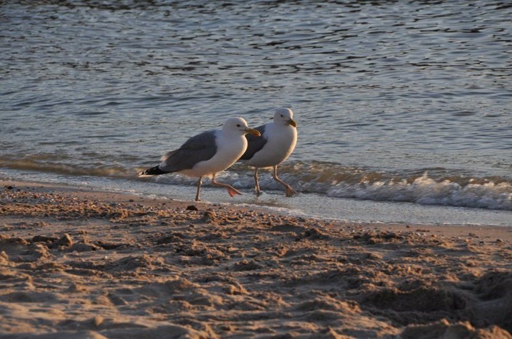 Почетный караул