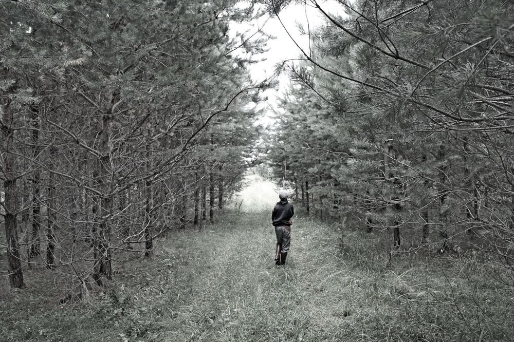 Photograph by Кривошеин Вячеслав