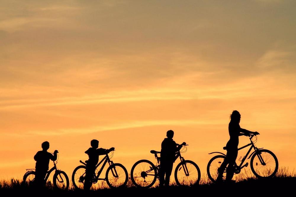 Жизнь в тени