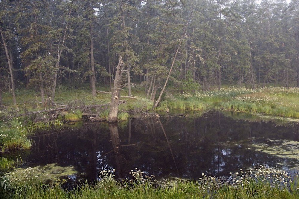 здесь всё словно в сказке и сказка сама