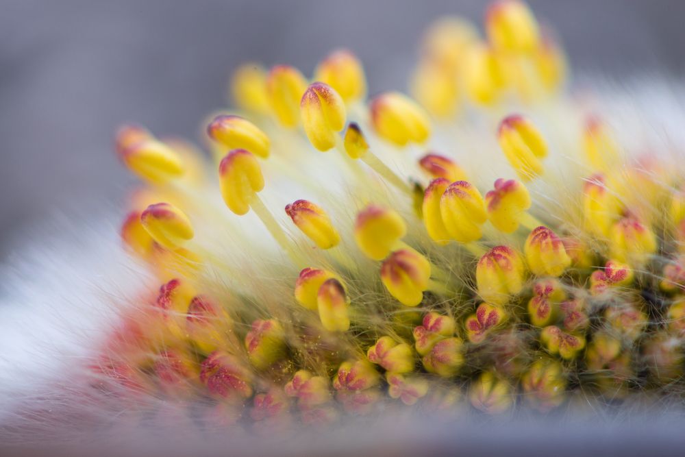 весеннее настроение