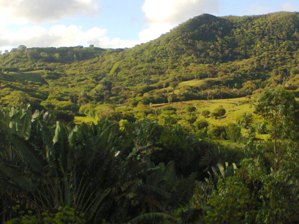 Beautiful nature view