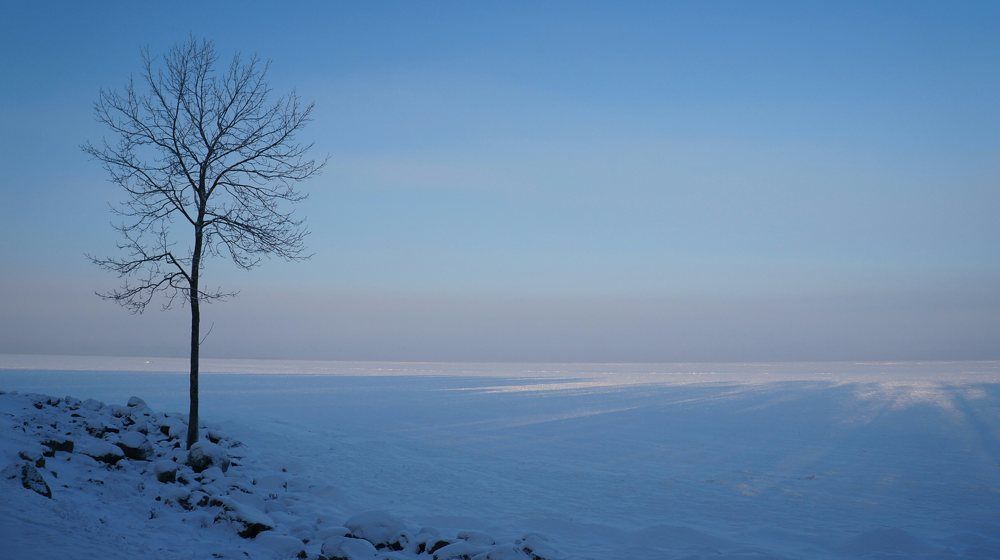 Морозным днем в Нижнем парке. Петергоф.