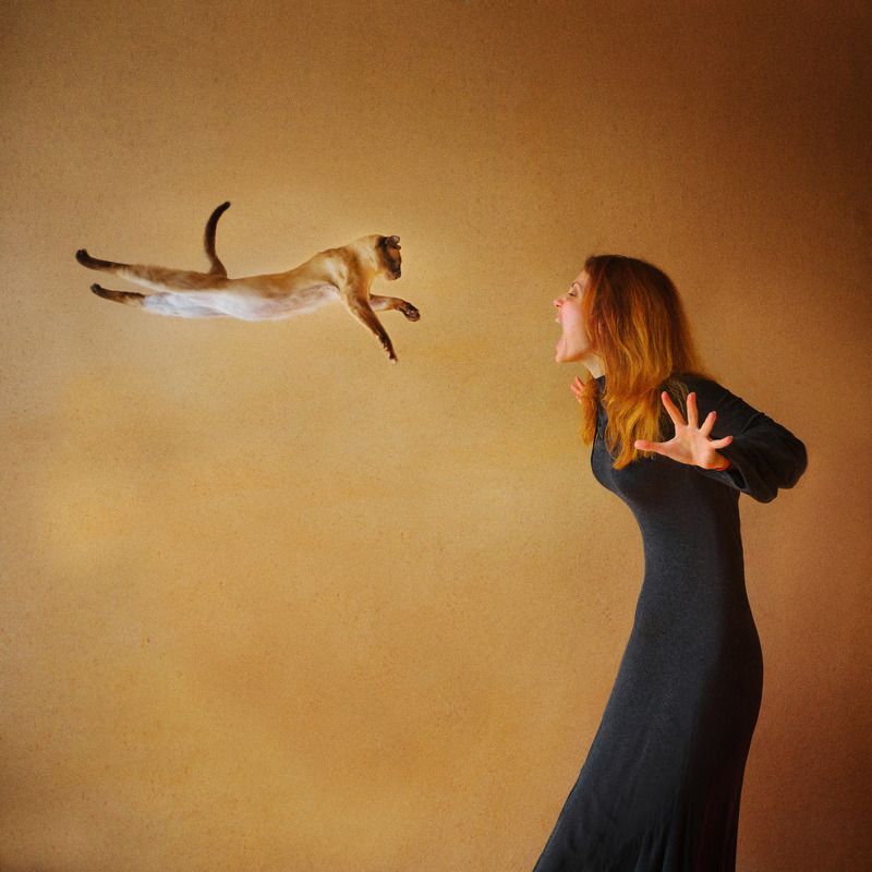 Dmytro Sobokar, Ukraine