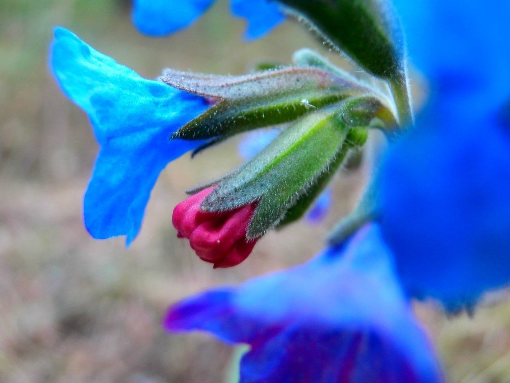 Photograph by Ирина Рудакова