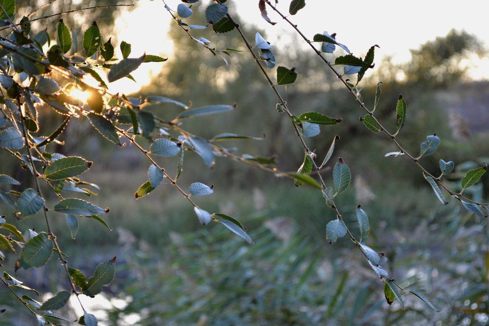 Photograph by Ксения Иванина