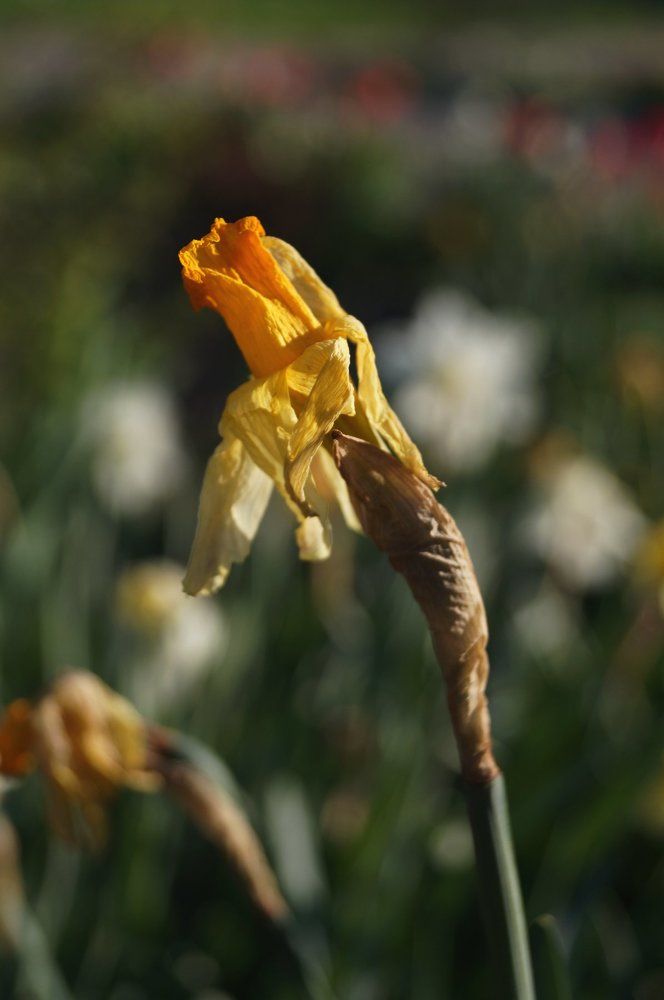 один среди многих, еще не значит одинокий...