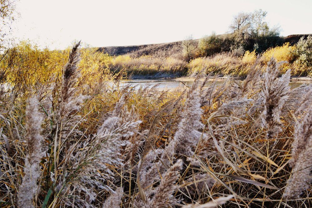 Осень вдали от города.