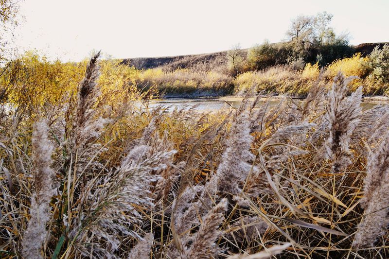 Ксения Иванина, Russia