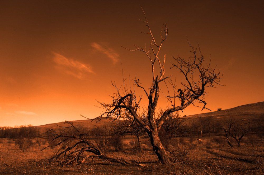 между осенью и весною