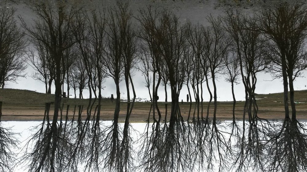 Отраженная реальность