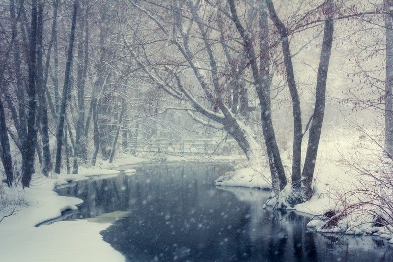 Zakomorny Andrey, Russia