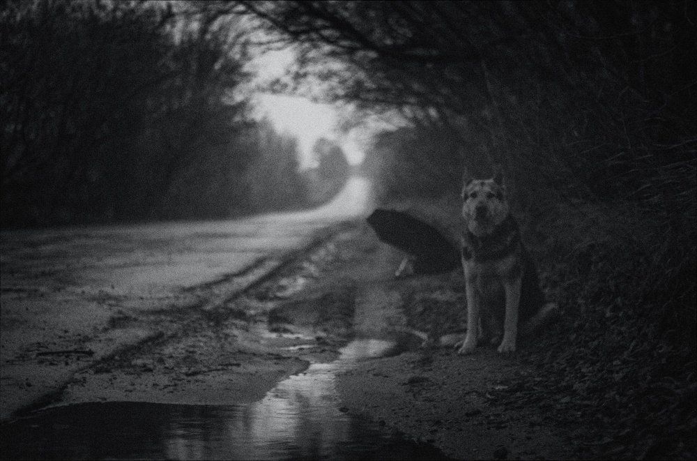 Photograph by Глинкин Валера