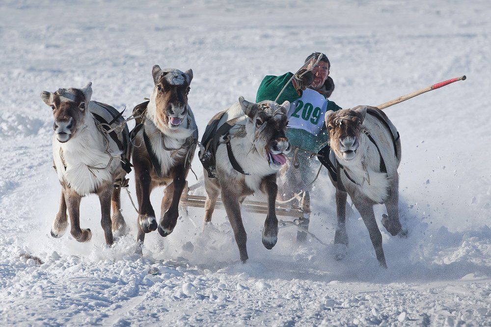 Финишный рывок