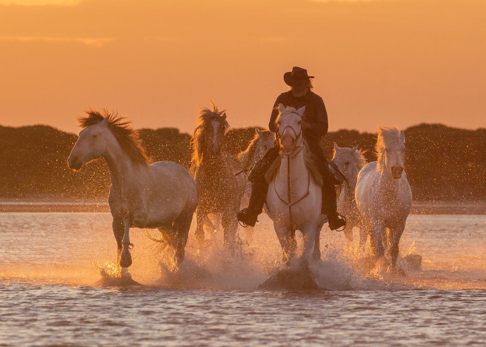 Photograph by Jevgenija Sepeliova