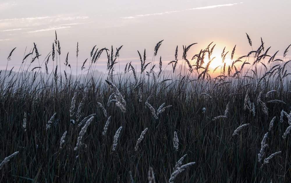 Здравствуй..