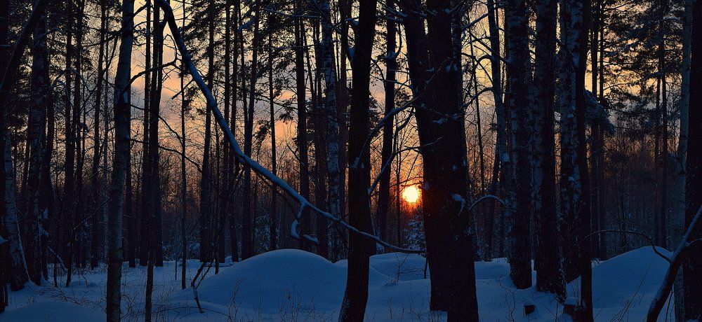 Деревья горели холодным огнем,  Пылали белые краски.