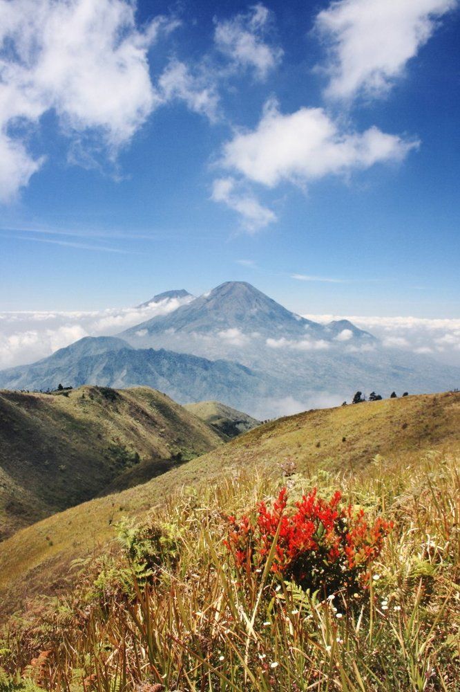 Prau.