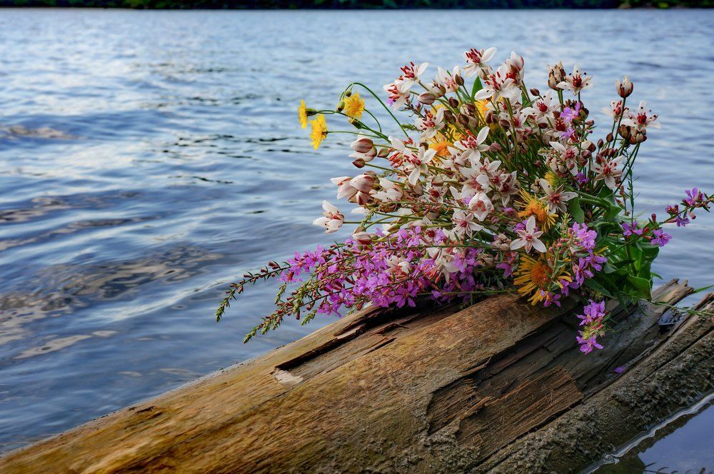 Воспоминания о лете