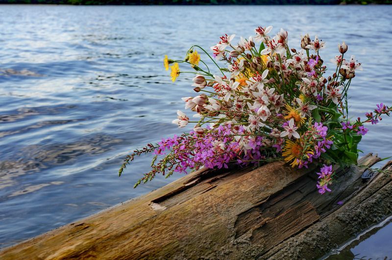 Елена Дымова, Russia