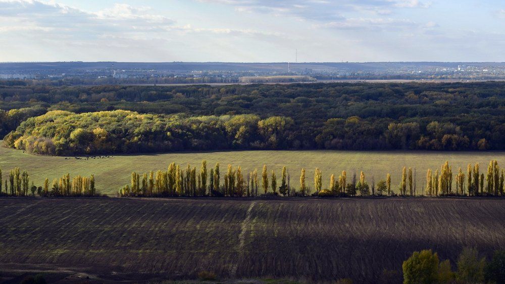 Photograph by Дмитрий