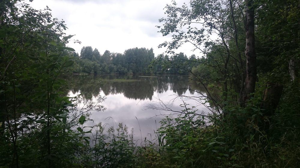 Photo #1149973