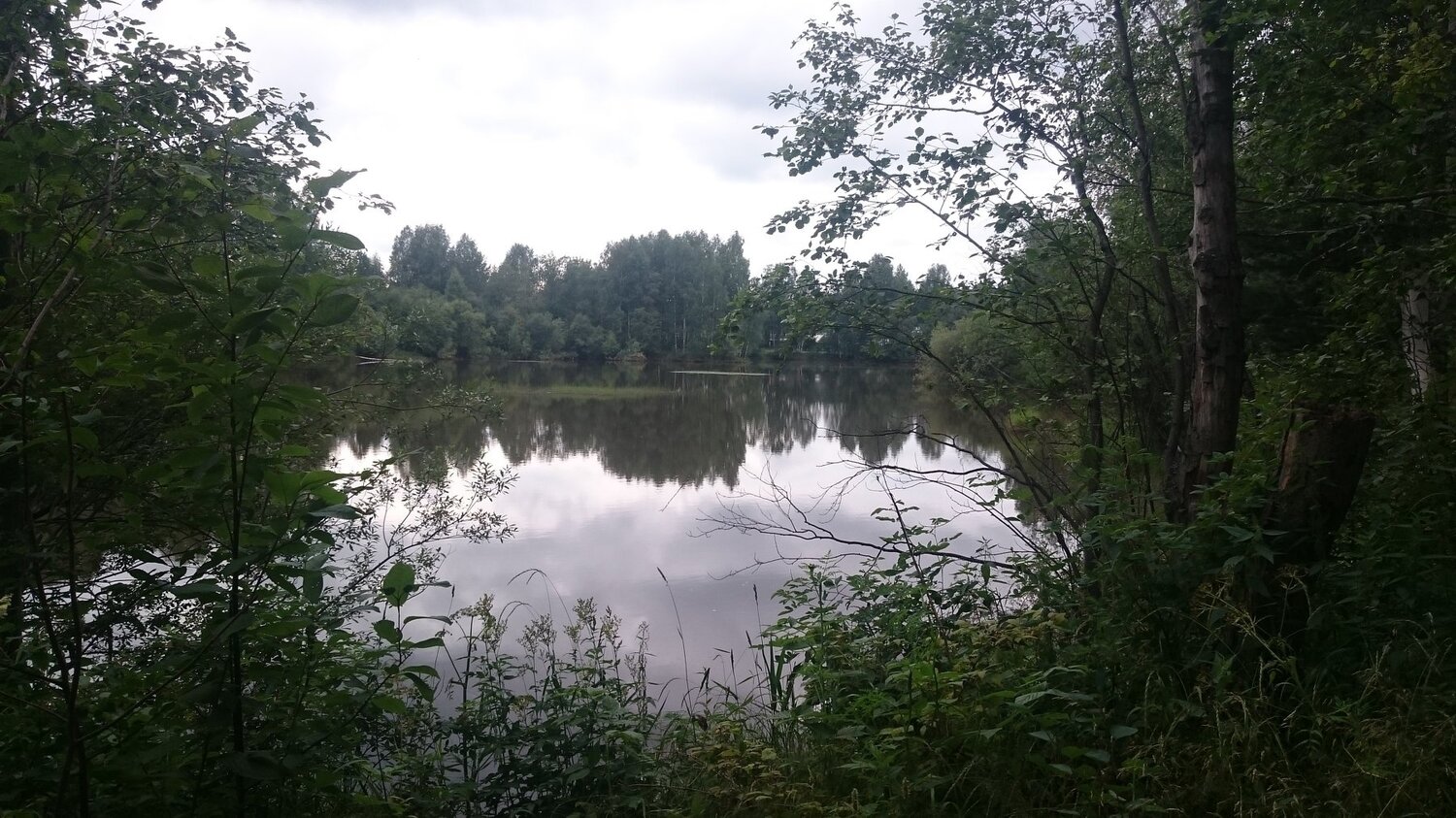 Photo #1149973