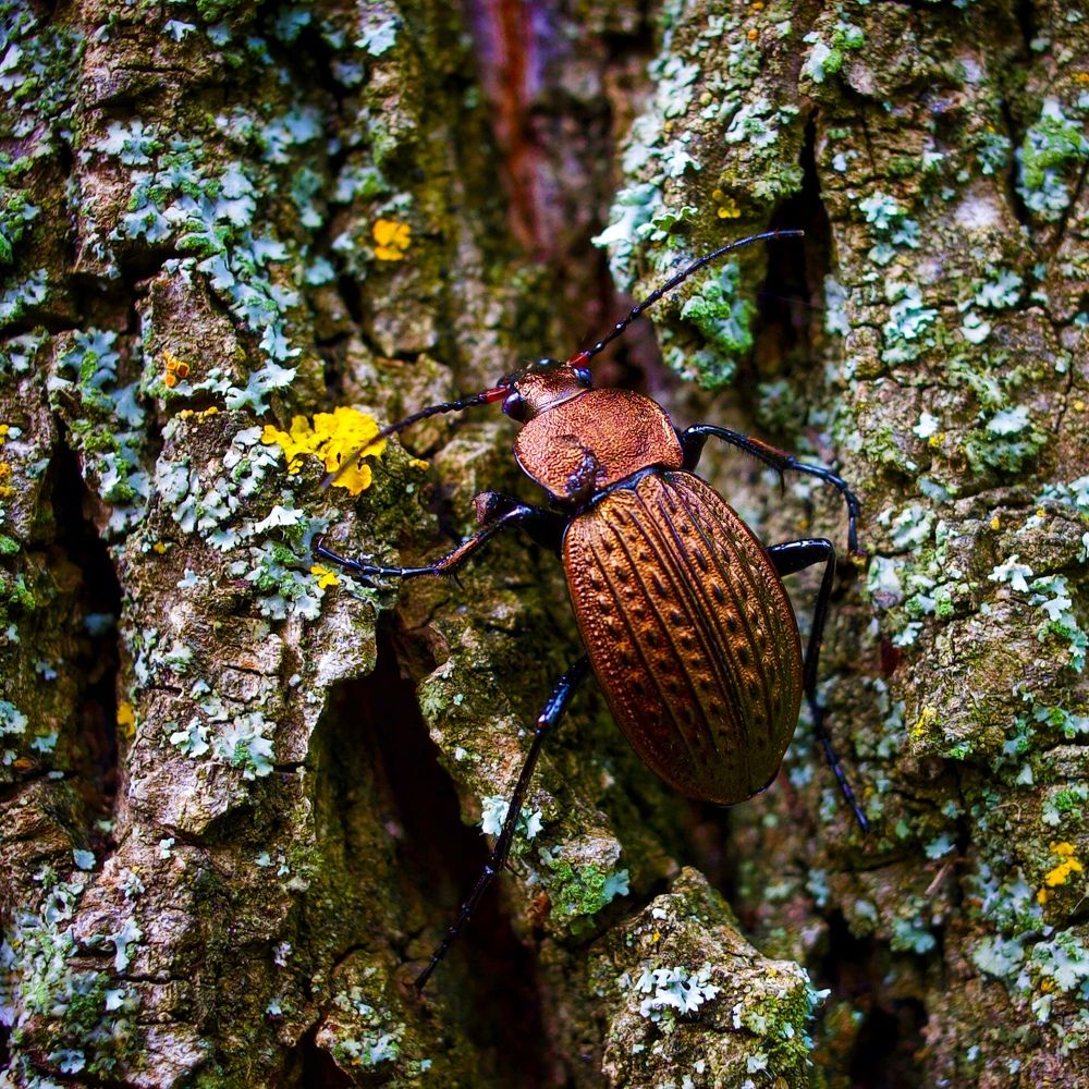 Photograph by Артемий