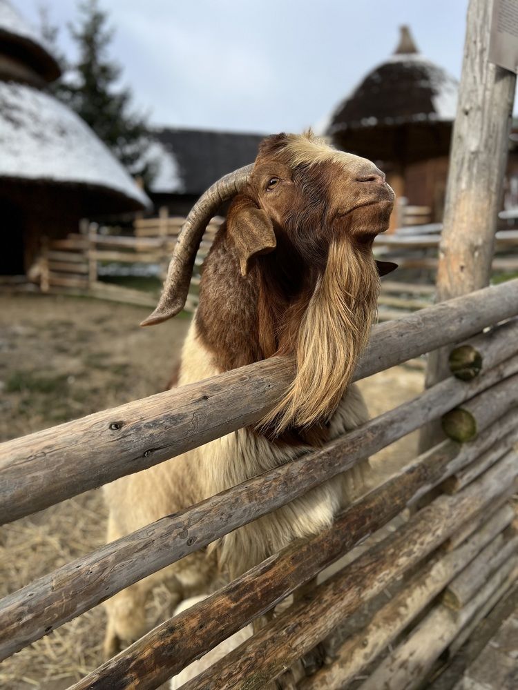 Photograph by Ольга Скиба