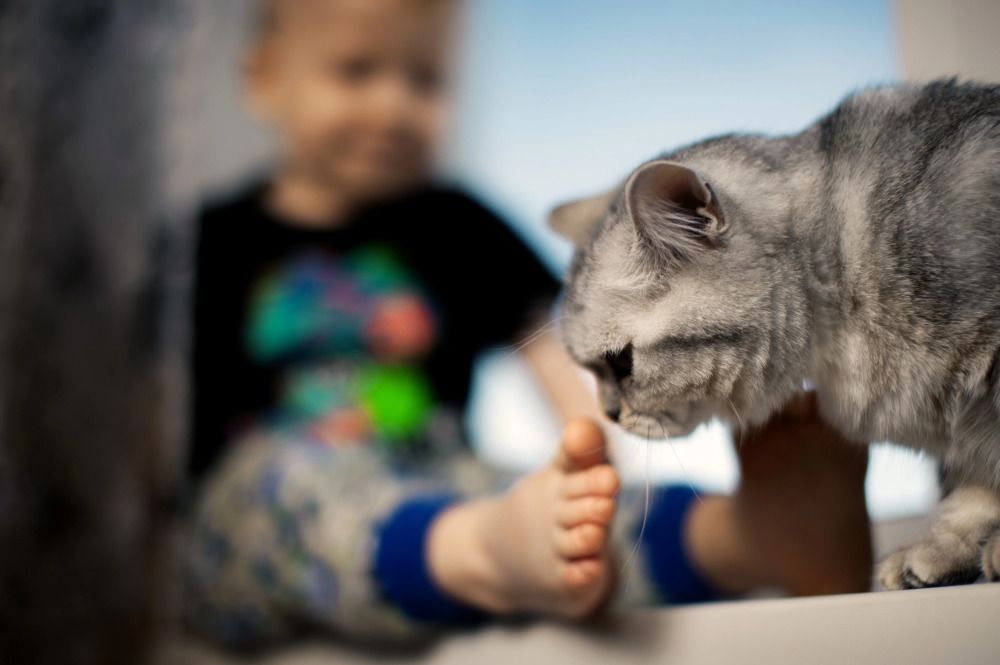 Photograph by Екатерина Стройкина