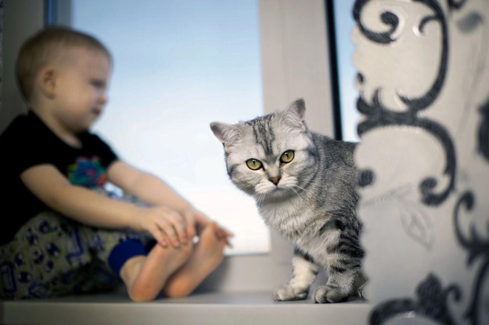 Photograph by Екатерина Стройкина