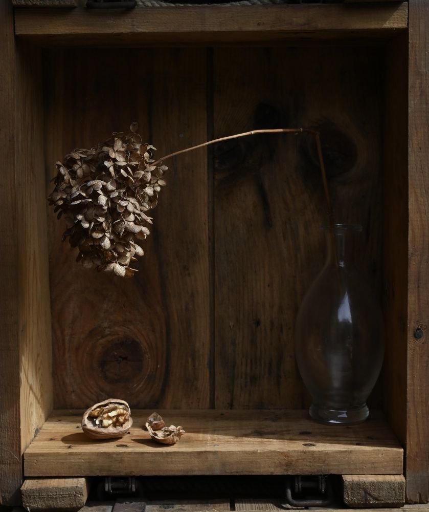 Photograph by Анастасия Куэлляр